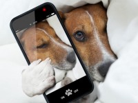 Encendido y apagado automático en Android y BQ