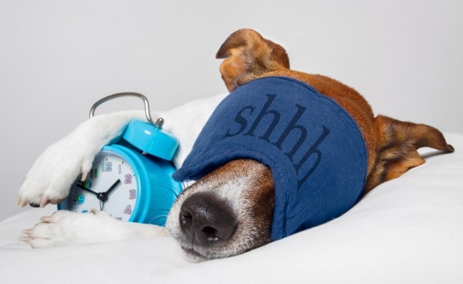 ¿Qué haces con tu móvil Android antes de acostarte?