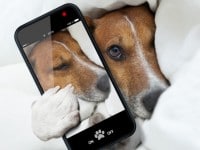 Encendido y apagado automático en Android y BQ