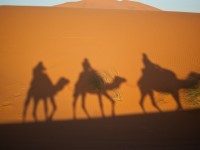 Carta de un usuario Android a los Reyes Magos