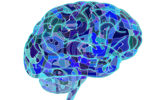 Cómo entrenar la mente con Android